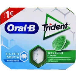Trident Τσίχλες Δυόσμος Blister 17gr (Τ10015998)