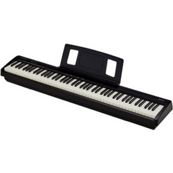 Roland FP-10 Ηλεκτρικό Πιάνο Stage με 88 Βαρυκεντρισμένα Πλήκτρα Black