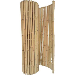 Κίτρινο Bamboo με Inox Δέσιμο BAMBOO YELLOW 25-30mm με INOX σύρμα 250(Υ) x 250εκ