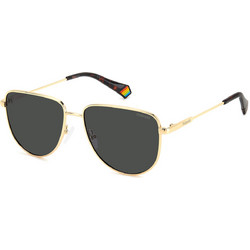 Polaroid Eyewear PLD6196SX J5G Ανδρικά Γυαλιά Ηλίου Aviator Μεταλλικά Ασημί με Καφέ Polarized Φακό