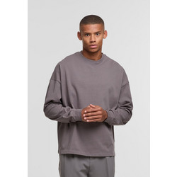 DEF BERRY Longsleeves steelgray