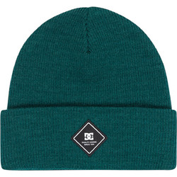 DC LABEL BEANIE DEEP TEAL
