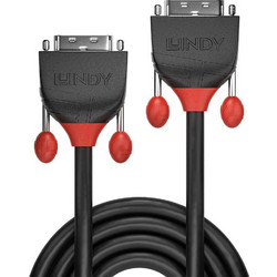Lindy Cable DVI-D male - DVI-D male 1m Μαύρο (36255)