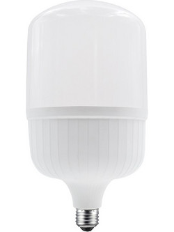 LED SMD 48W 4000K 4590LM 230V AC RA80 40000HRS 220 1xE27 IP65 / P14048NW