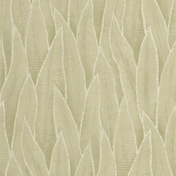 ΤΑΠΕΤΣΑΡΙΑ ΤΟΙΧΟΥ SANSEVIERIA 68088 (10,05μ Ύψος x 0,53μ Πλάτος)