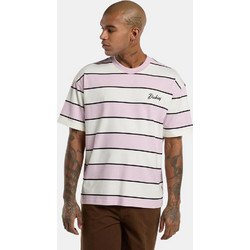 Dickies Embroidery Stripe Ανδρικό T-Shirt DK0A8CVPECR1 ECRU