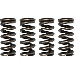 Ελατήρια βαλβίδων σετ 2.5mm E4+E5 Custom Sym VF 185 Racing KING DRAG