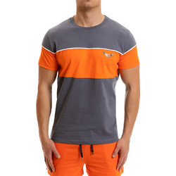 T-shirt Evolution Body Γκρι 2259GREY