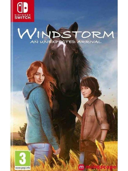 Windstorm An Unexpected Arrival Key Nintendo Switch