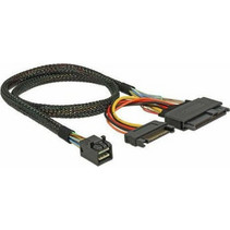 DeLOCK 84819 Καλώδιο Σκληρού Δίσκου mini SAS to 2 x 22-Pin SATA 0.5m Black