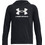 Under Armour Rival Παιδικό Φούτερ Μαύρο 1379791-001