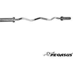 Pegasus B-5004-2 Στραβόμπαρα Ολυμπιακού Τύπου 10kg Φ50mm 120cm με Κολάρα Δαχτυλίδια