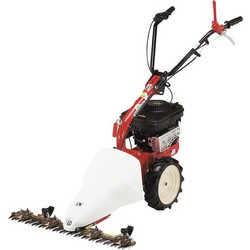 Eurosystems Briggs & Stratton Μ210 Θεριστικό Βενζίνης Τετράχρονο με Ρόδες 6.25hp