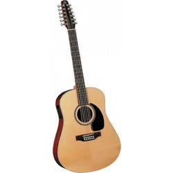 Seagull SM12EQ