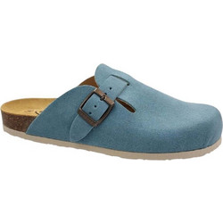 Plakton Afelpado Ocean 181539
