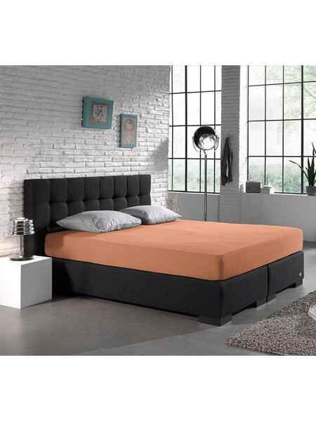 DreamHouse Σεντόνι Υπέρδιπλο Βαμβακερό με Λάστιχο 160x200+30 Πορτοκαλί 8720578051793