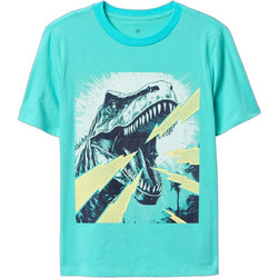 Gap Παιδικό T-Shirt Κοντομάνικο Τιρκουάζ 747246004