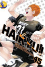 Haikyu!!, Vol. 45 Haikyu!!, Vol. 45