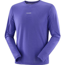 Salomon Shakeout Core Ανδρικό Αθλητικό T-Shirt Μωβ C26401