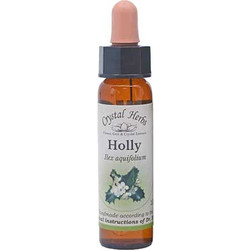 Crystal Herbs Holly Ανθοΐαμα σε Σταγόνες 10ml