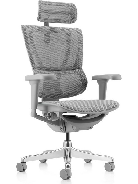 Comfort Workspace Ergohuman iOO Ultra Plus Καρέκλα Διευθυντική με Προσκέφαλο Στήριξη Μέσης Ανάκλιση και Ρυθμιζόμενα Μπράτσα Γκρι 210301