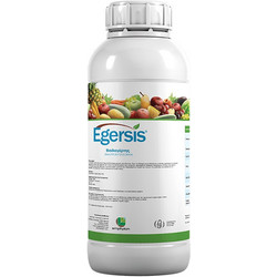 Emphyton Egersis Υγρός Διαφυλλικός Βιοδιεγέρτης 1lt