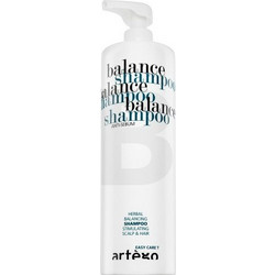 Artego Easy Care T Balance Σαμπουάν για Επανόρθωση 1lt