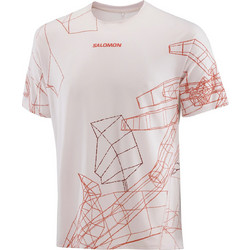 Salomon Ανδρικό Αθλητικό T-Shirt Μπεζ LC28315