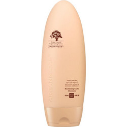 Arganmidas Nourishing Curls Σαμπουάν για Επανόρθωση για Σγουρά Μαλλιά 450ml
