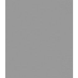 Canson Colorline Χαρτόνι Κανσόν Γκρι 50x70cm 105741036