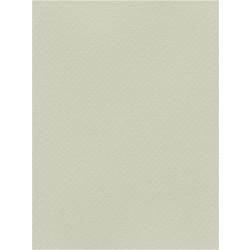 Favini Χαρτόνι Κανσόν Γκρι 50x70cm 831.5070.06T