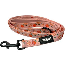 Madpet Mandarin Λουρί Σκύλου 1.52m x 20mm Κοραλί