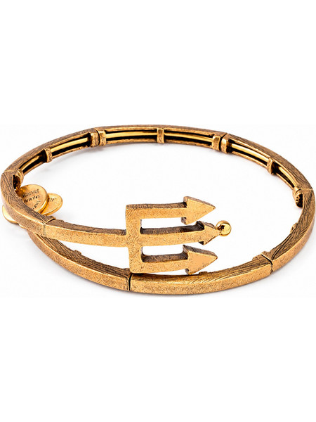 Alex and Ani Γυναικείο Βραχιόλι Βέργα Xρυσό V16W30RG