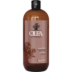Dott. Solari Olea Pure Origin Σαμπουάν για Επανόρθωση 1lt
