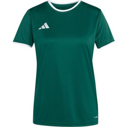 Adidas Entrada 26 Jersey Γυναικείο Αθλητικό T-Shirt Κυπαρισσί KE9833