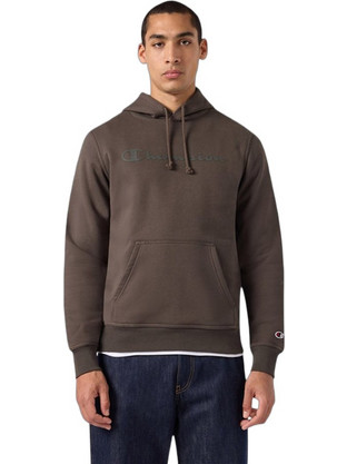 Champion 222990-GS509