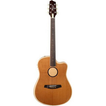 L.R.Baggs AEG Torrefied Natural