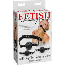 Pipedream Fantasy Ball Gag Training System