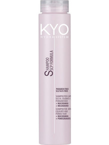 KYO Hydra System Σαμπουάν για Προστασία Χρώματος για Ξηρά & Βαμμένα Μαλλιά 250ml
