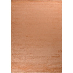 Tzikas Carpets Silence Χαλί Ορθογώνιο 80x150cm 20153-021