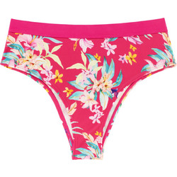 Dorina Bikini Brazil Φούξια D001275MI010-PK0067