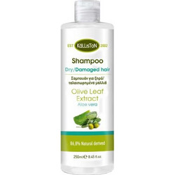 Kalliston Olive Leaf Extract Φυτικό Σαμπουάν για Επανόρθωση για Ξηρά & Ταλαιπωρημένα Μαλλιά 250ml