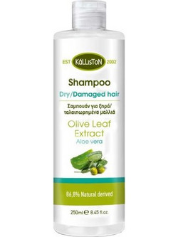 Kalliston Olive Leaf Extract Φυτικό Σαμπουάν για Επανόρθωση για Ξηρά & Ταλαιπωρημένα Μαλλιά 250ml