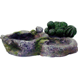 Wave Arizona Puddle Μπολ με Κάκτο Small 16x10x7cm
