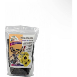 Evia Parrots Micro Sunflower Seeds 500gr