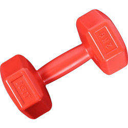 X-Fit 04-003-702 2kg