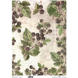 256124 ΡΙΖΟΧΑΡΤΟ BERRIES 42X29.7ΕΚ. (ITD-R125L) (ΣΕΤ 3 ΤΕΜΑΧΙΩΝ)