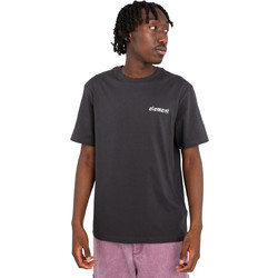 Element dragon tshirt ELYZT00407-kta0 grey