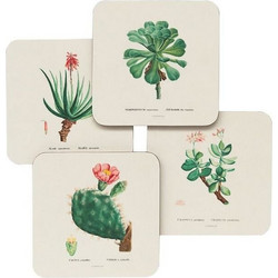 ERIK Σετ 4 Σουβέρ Botanical Cacti By Kokonote