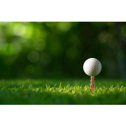 Kikkerland - Gopher Golf Tee S